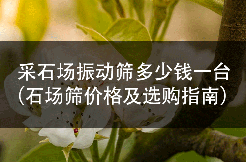 采石場(chǎng)振動(dòng)篩多少錢(qián)一臺(tái)(石場(chǎng)篩價(jià)格及選購(gòu)指南)?