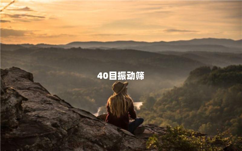 40目振動篩 40目振動篩