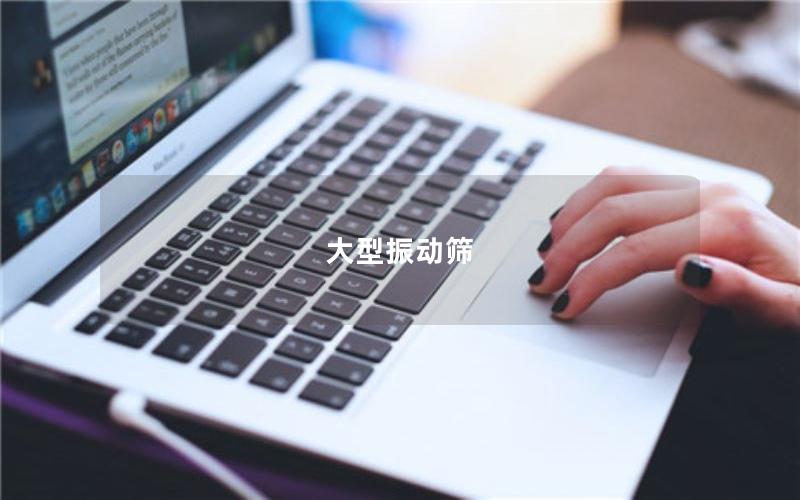 大型振動(dòng)篩