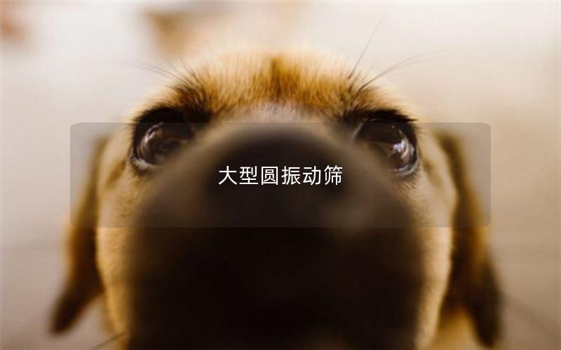 大型圓振動(dòng)篩