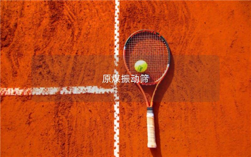 原煤振動(dòng)篩