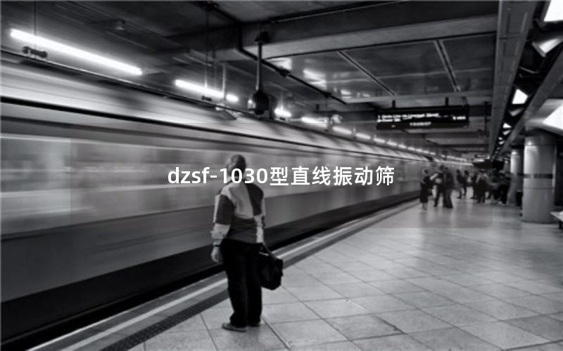dzsf-1030型直線振動(dòng)篩 dzsf-1030型直線振動(dòng)篩