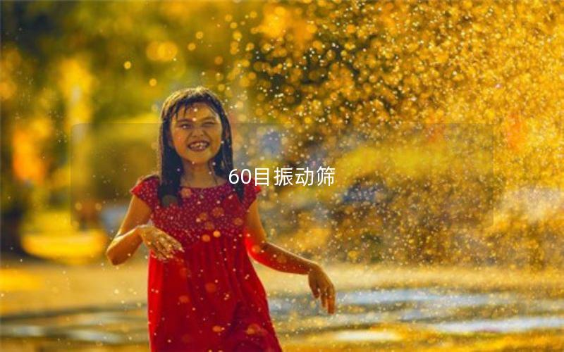 60目振動篩 60目振動篩