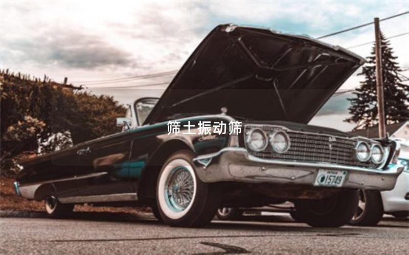 篩土振動(dòng)篩